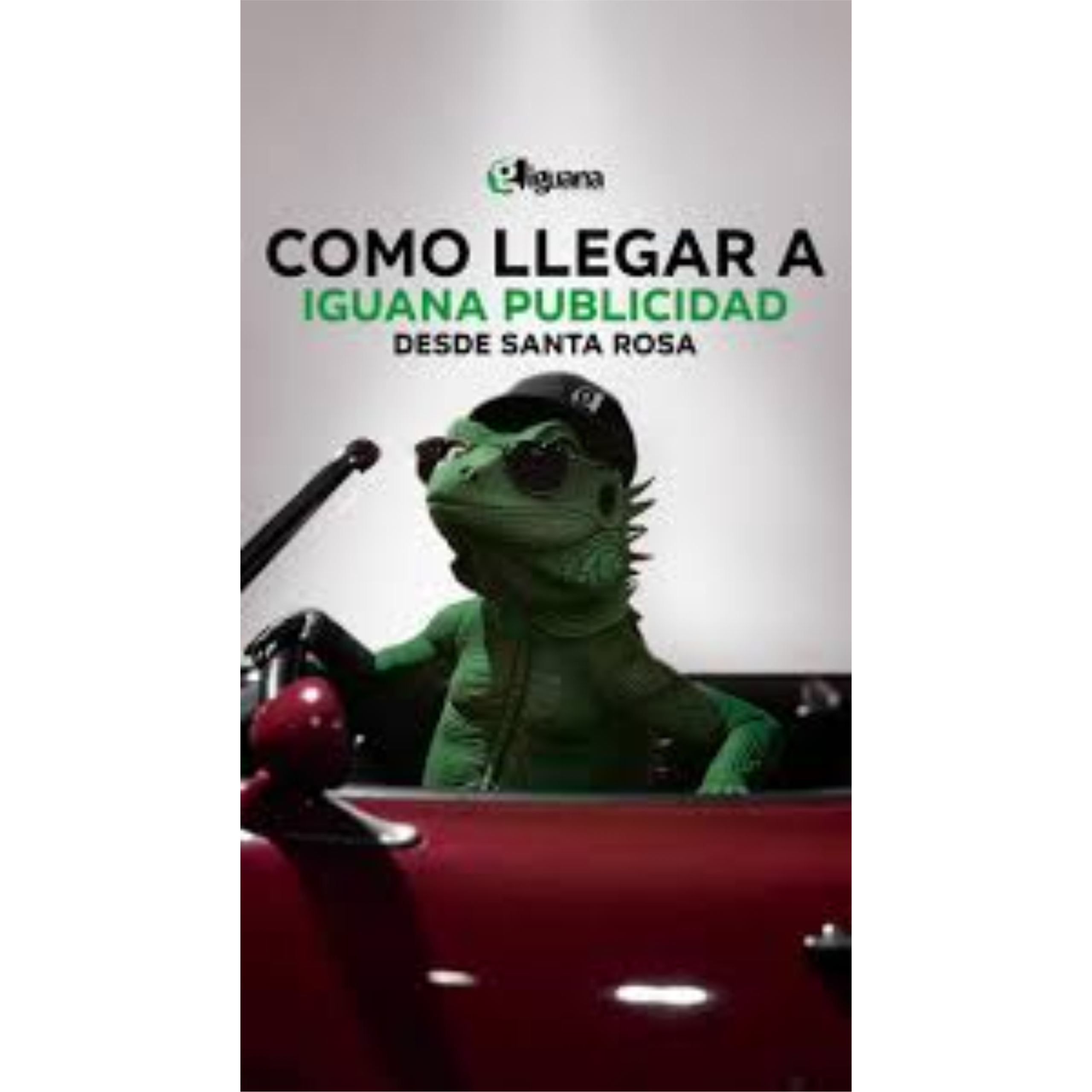 iguana 1