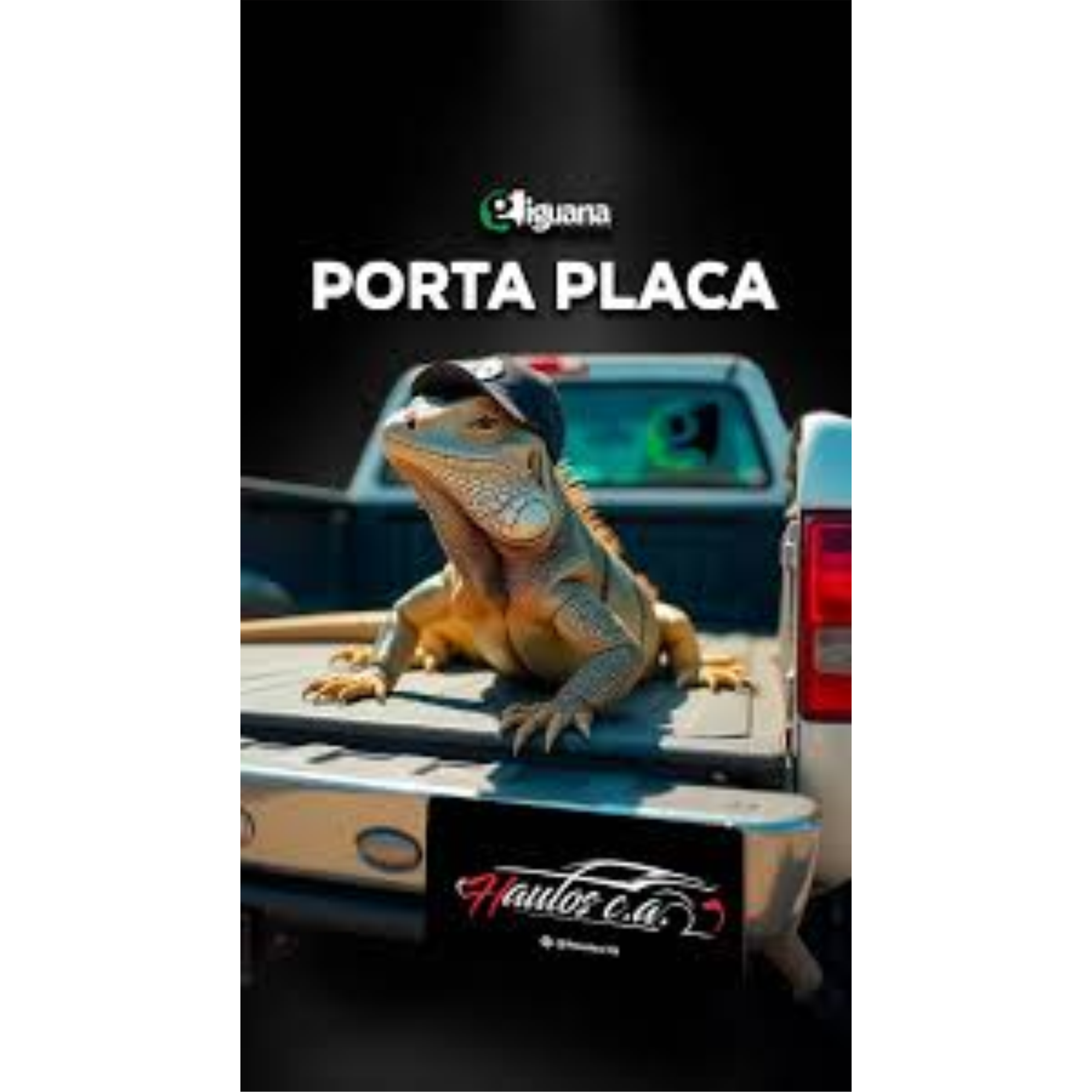 iguana 3