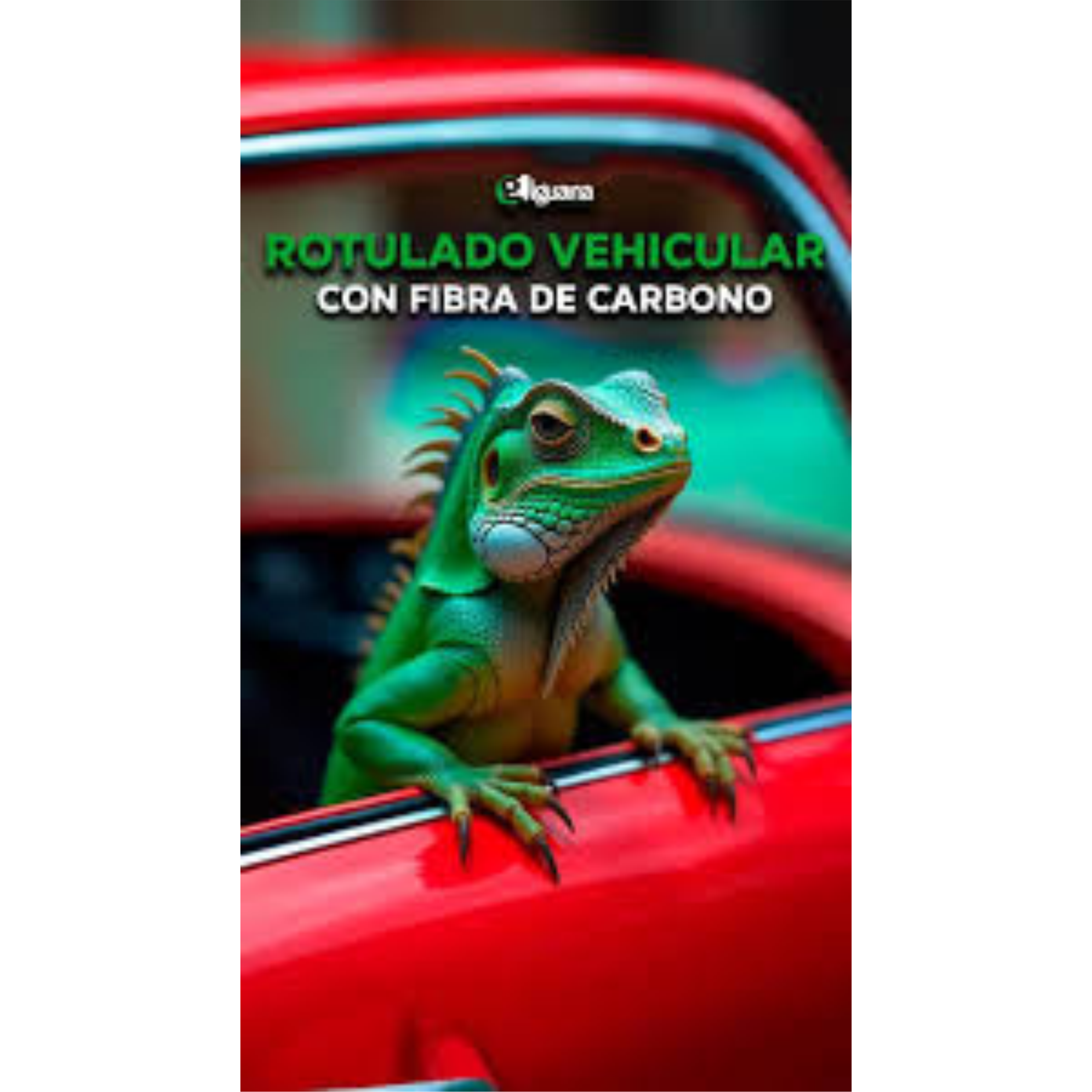 iguana 5
